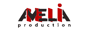 logo no background 300x105br